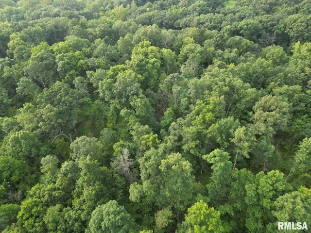 $80,000 | 2750 Nortonville Road, Franklin, IL 62638