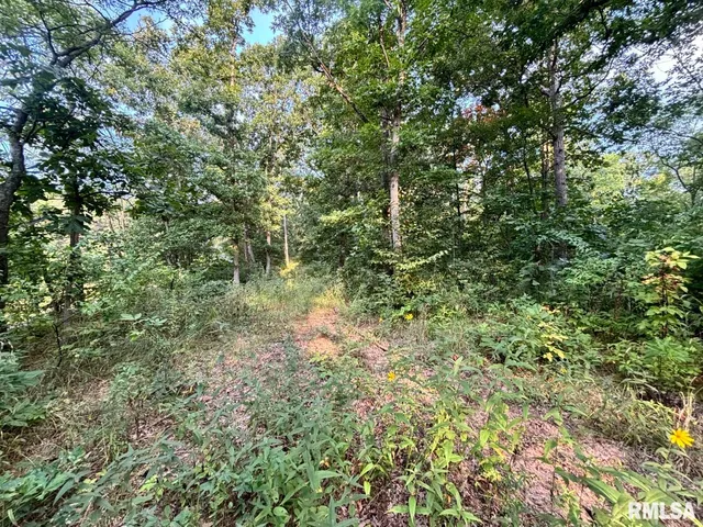 $80,000 | 2750 Nortonville Road, Franklin, IL 62638