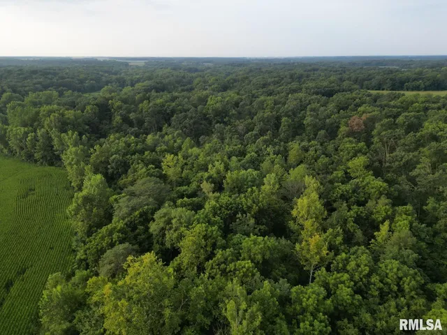 $80,000 | 2750 Nortonville Road, Franklin, IL 62638