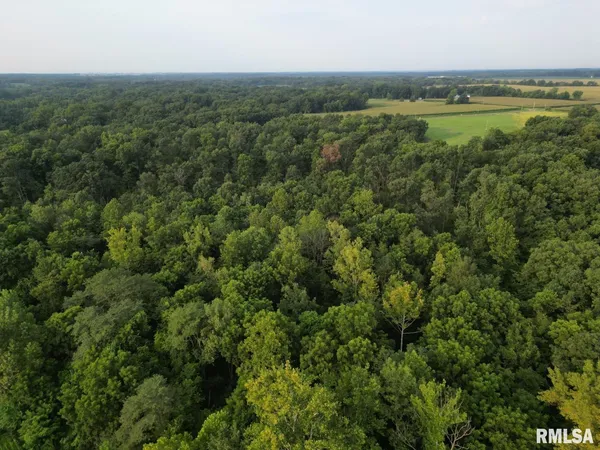 $80,000 | 2750 Nortonville Road, Franklin, IL 62638