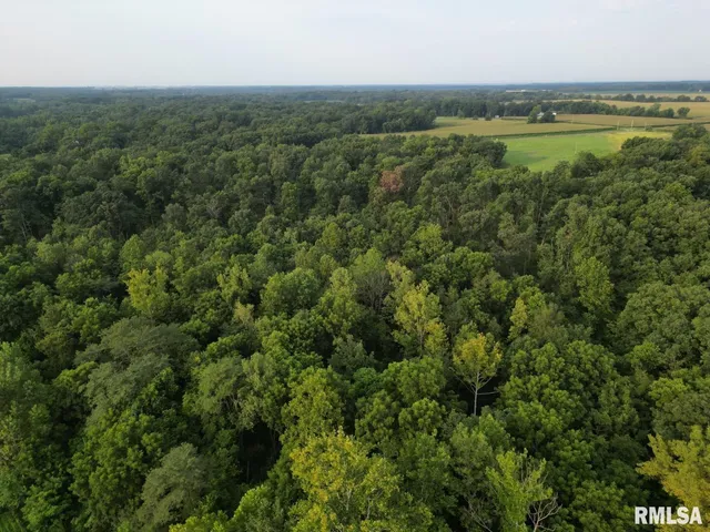 $80,000 | 2750 Nortonville Road, Franklin, IL 62638