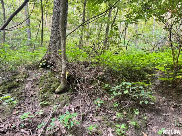 $80,000 | 2750 Nortonville Road, Franklin, IL 62638