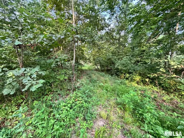 $80,000 | 2750 Nortonville Road, Franklin, IL 62638