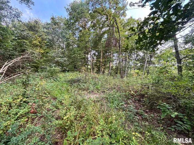 $80,000 | 2750 Nortonville Road, Franklin, IL 62638