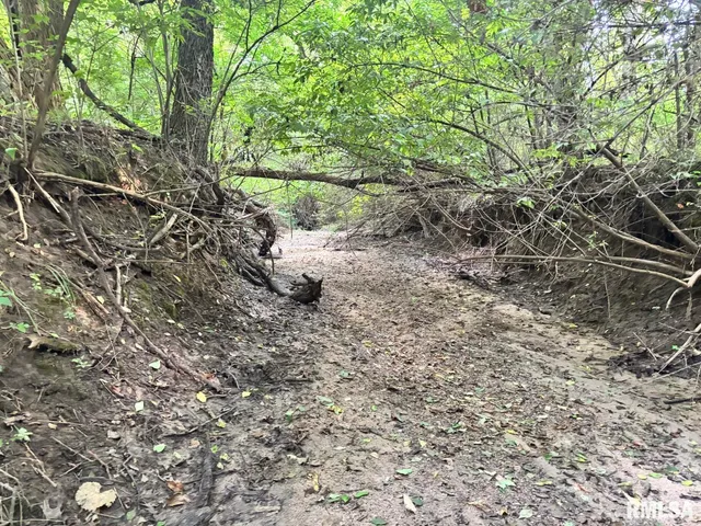 $80,000 | 2750 Nortonville Road, Franklin, IL 62638