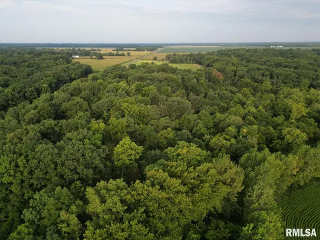 $80,000 | 2750 Nortonville Road, Franklin, IL 62638