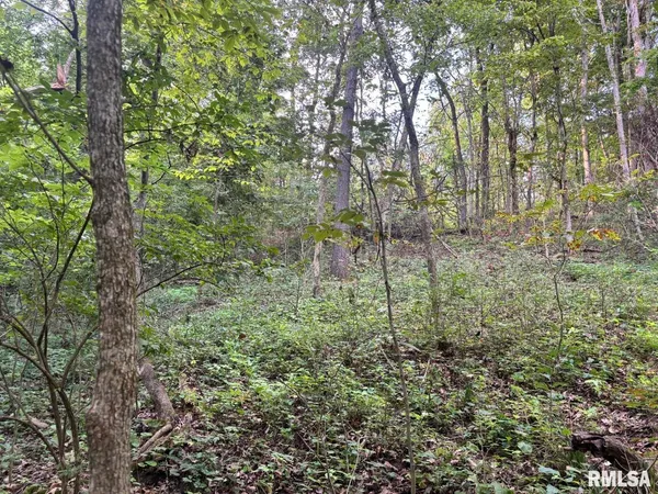 $80,000 | 2750 Nortonville Road, Franklin, IL 62638