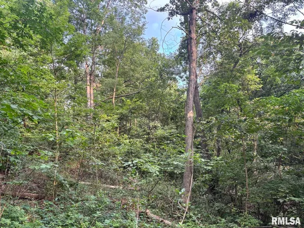 $80,000 | 2750 Nortonville Road, Franklin, IL 62638