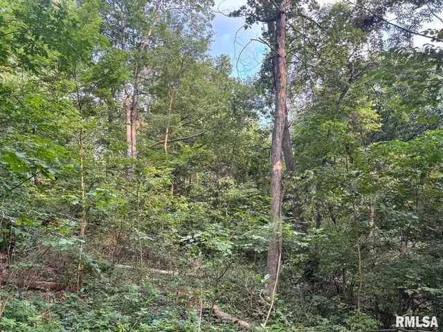 $80,000 | 2750 Nortonville Road, Franklin, IL 62638