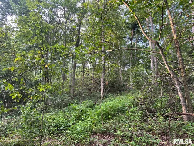 $80,000 | 2750 Nortonville Road, Franklin, IL 62638