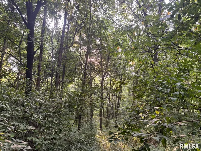 $80,000 | 2750 Nortonville Road, Franklin, IL 62638