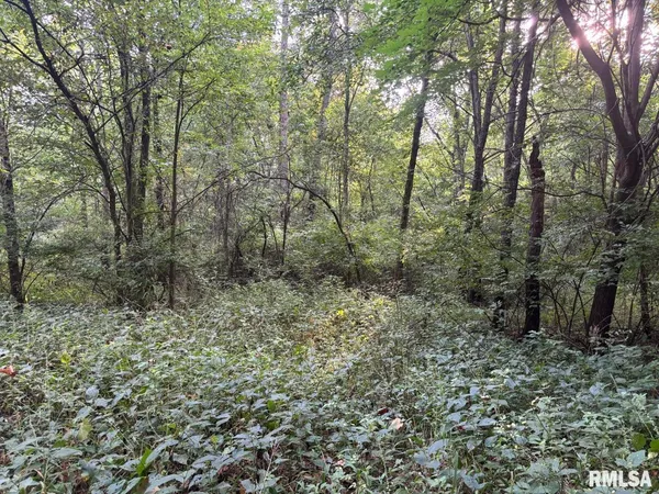 $80,000 | 2750 Nortonville Road, Franklin, IL 62638