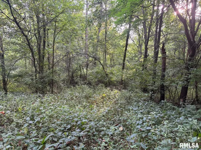 $80,000 | 2750 Nortonville Road, Franklin, IL 62638