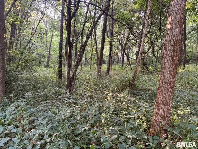 $80,000 | 2750 Nortonville Road, Franklin, IL 62638