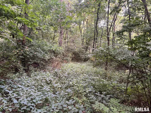 $80,000 | 2750 Nortonville Road, Franklin, IL 62638