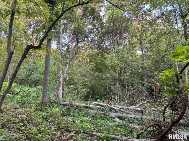 $80,000 | 2750 Nortonville Road, Franklin, IL 62638