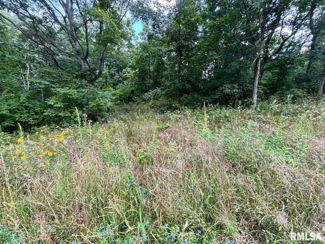 $80,000 | 2750 Nortonville Road, Franklin, IL 62638