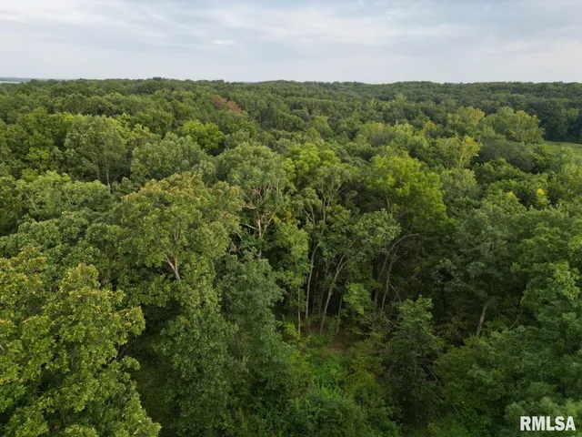 $80,000 | 2750 Nortonville Road, Franklin, IL 62638