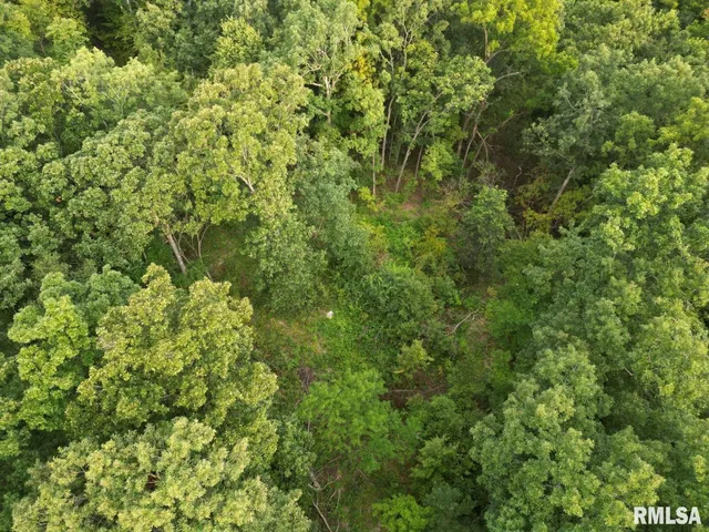 $80,000 | 2750 Nortonville Road, Franklin, IL 62638