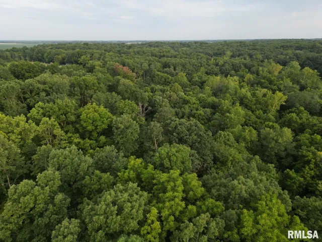 $80,000 | 2750 Nortonville Road, Franklin, IL 62638