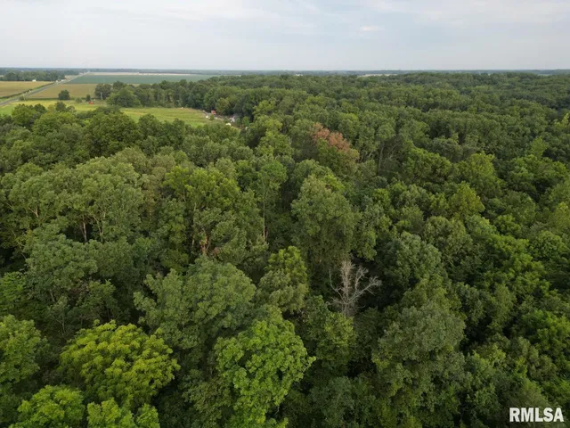 $80,000 | 2750 Nortonville Road, Franklin, IL 62638