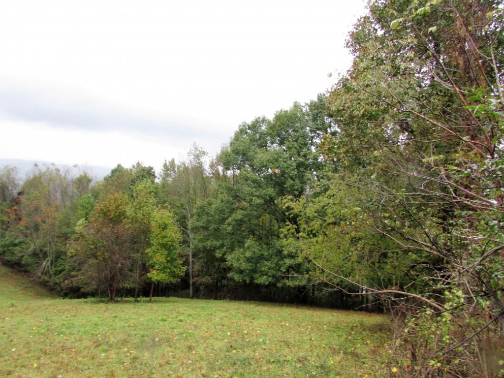Tbd Nave Hollow Road Elizabethton, TN 37643 - Photo 1 of 11 Photo 1