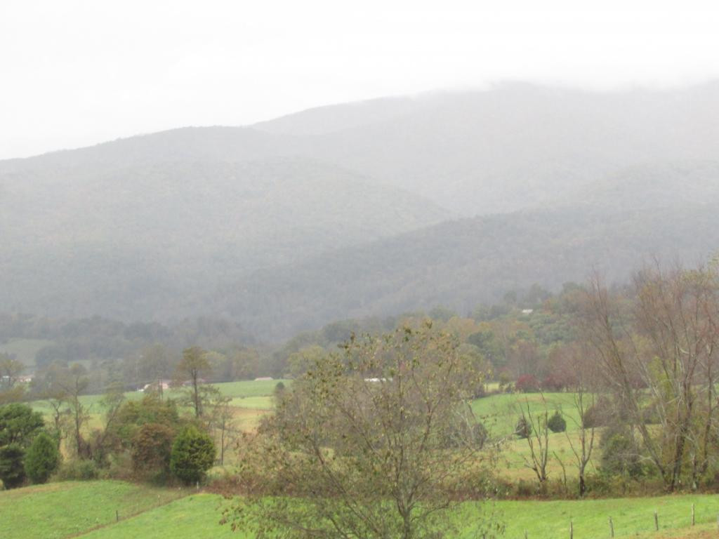 Tbd Nave Hollow Road Elizabethton, TN 37643 - Photo 2 of 11 Photo 2