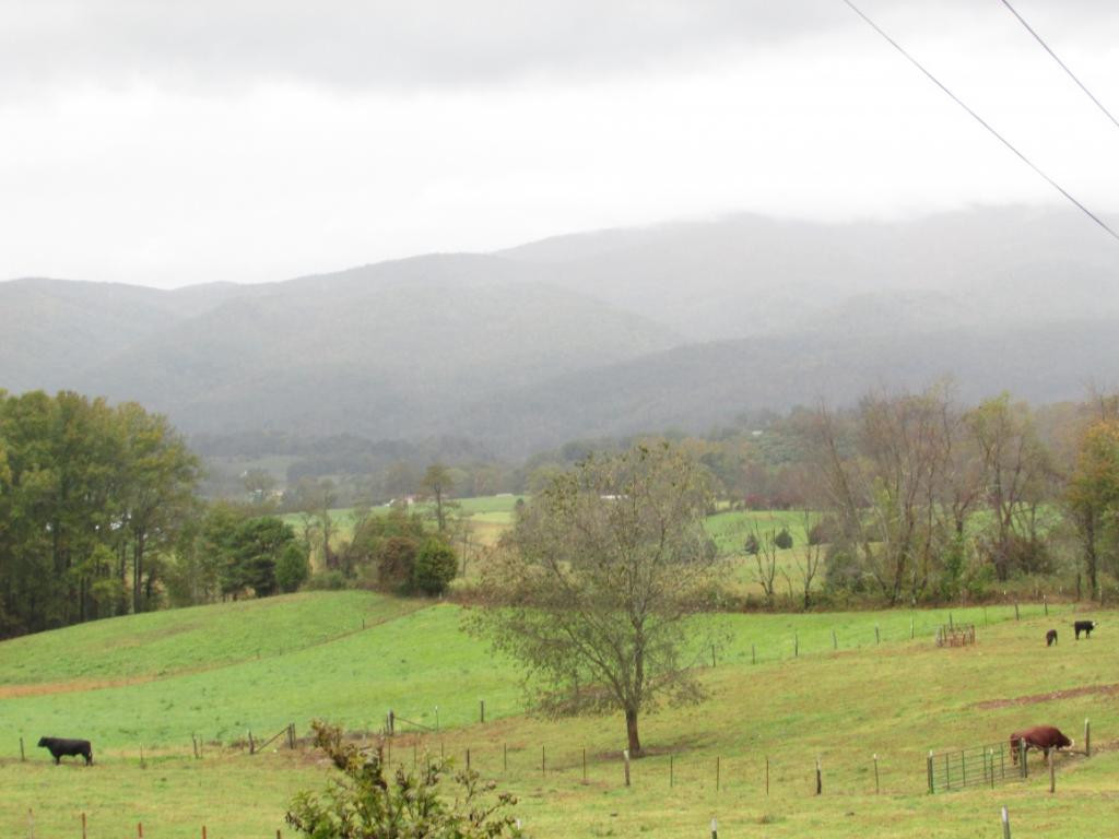 Tbd Nave Hollow Road Elizabethton, TN 37643 - Photo 5 of 11 Photo 5