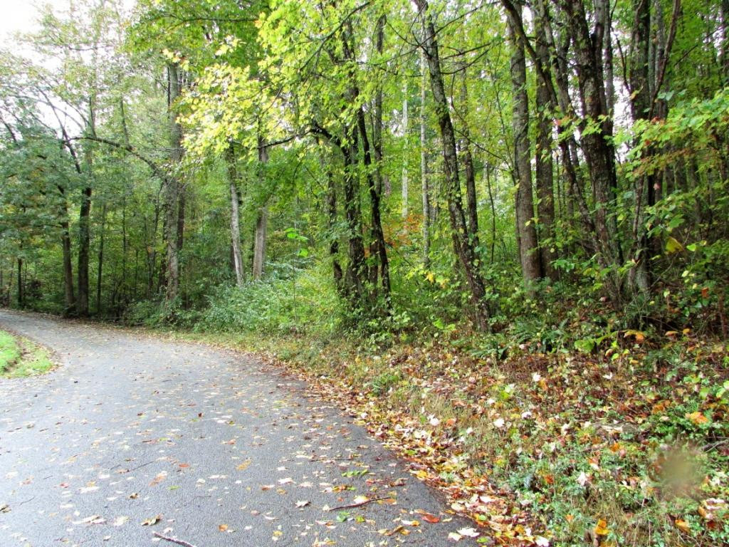 Tbd Nave Hollow Road Elizabethton, TN 37643 - Photo 9 of 11 Photo 9