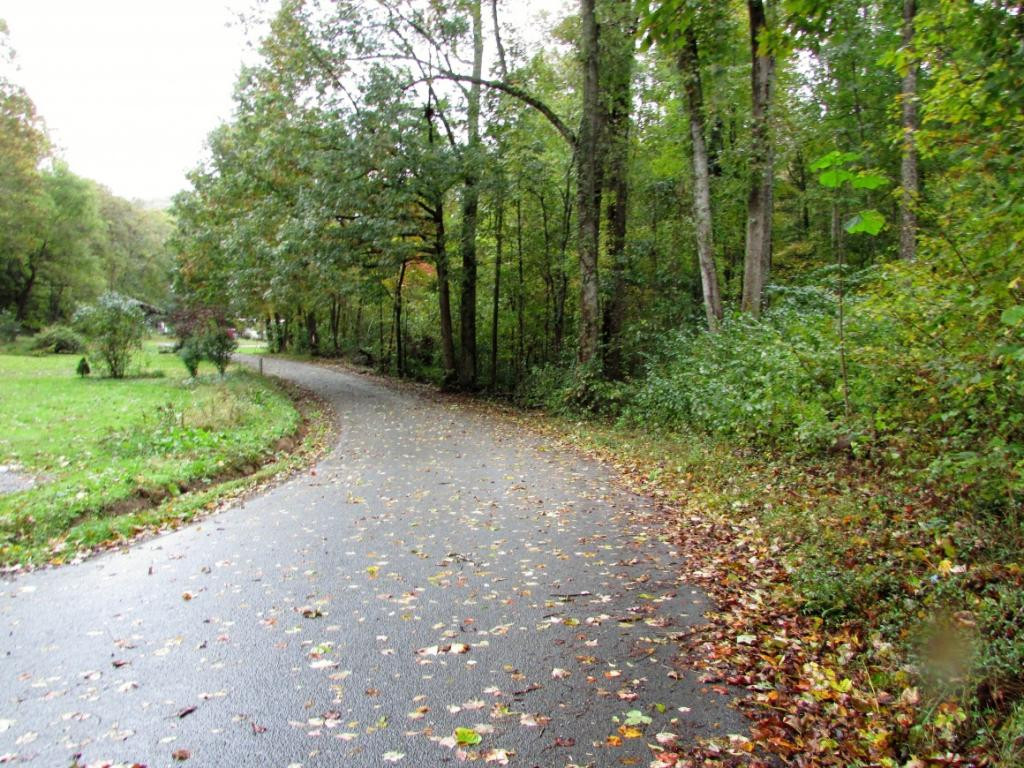 Tbd Nave Hollow Road Elizabethton, TN 37643 - Photo 10 of 11 Photo 10