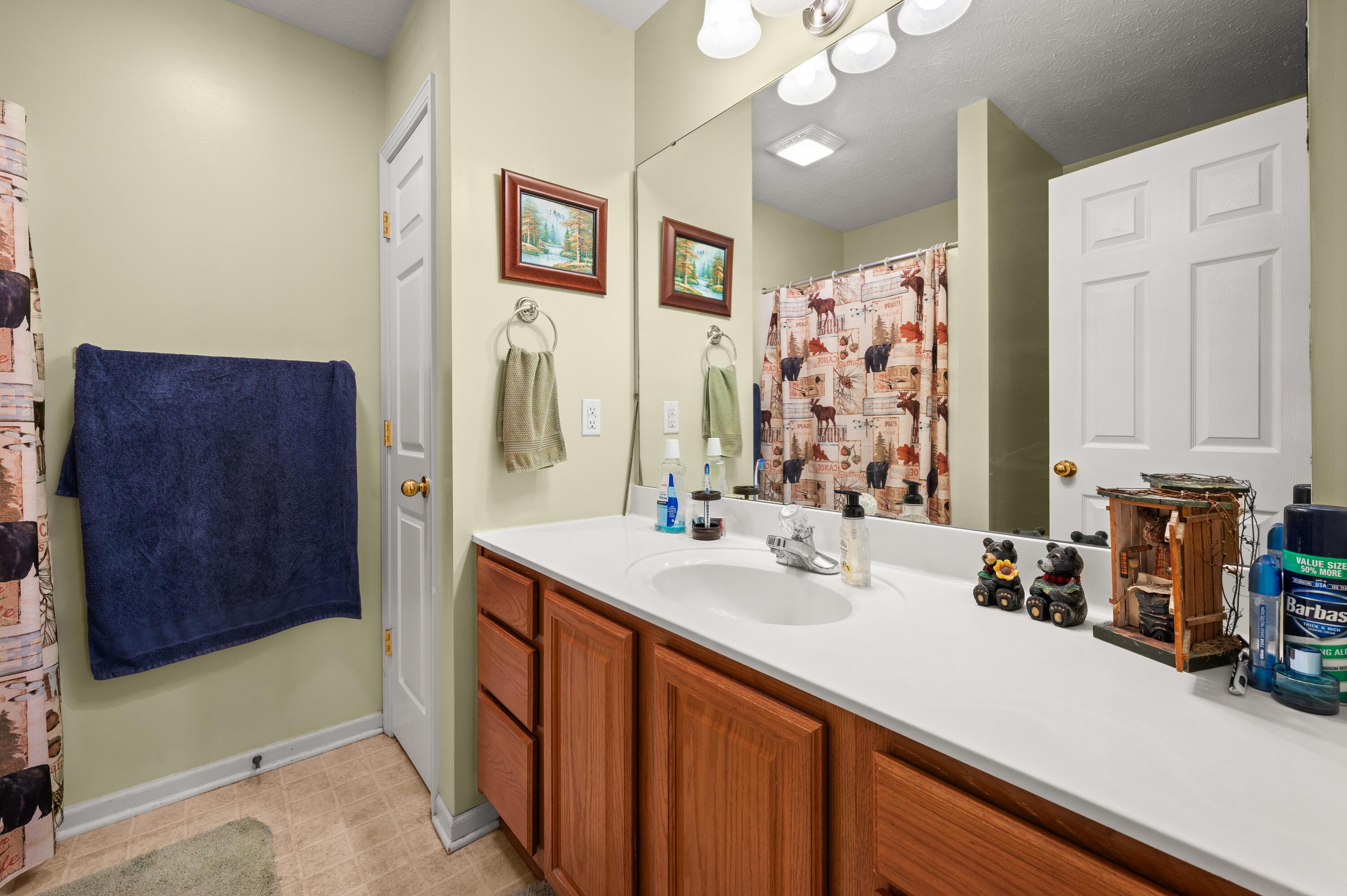 1540 Dodd Road Niles, MI 49120 - Photo 24 of 59 Primary Bathroom