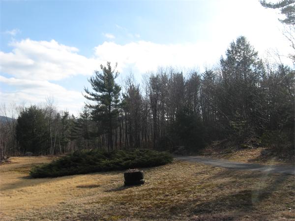 64 Worcester Road Westminster, MA 01473 - Photo 18 of 24 a view of backyard with green space
