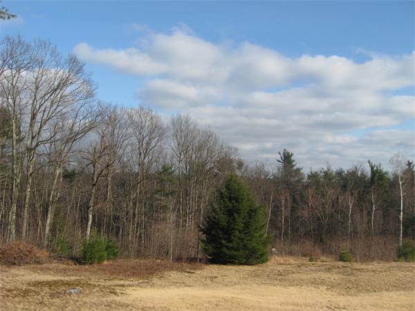 64 Worcester Road Westminster, MA 01473 - Photo 21 of 24 a view of a yard with large trees