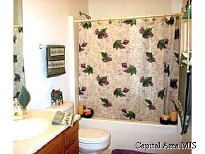 204 Eagle Ridge Drive Chatham, IL 62629 - Photo 8 of 9 Gallery Image 8