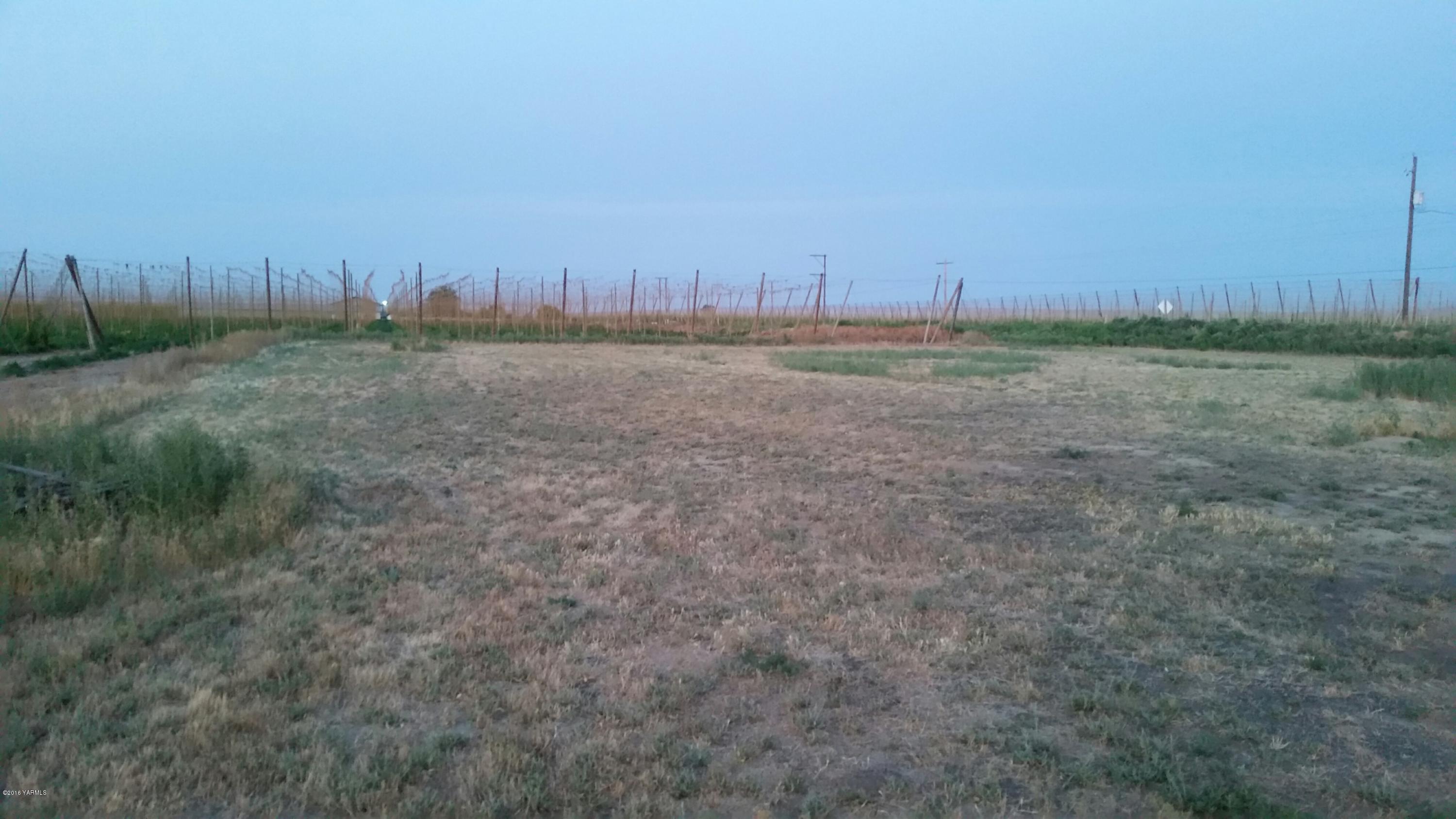 4991 Harrah Road Wapato, WA 98951 - Photo 9 of 9 a view of a field