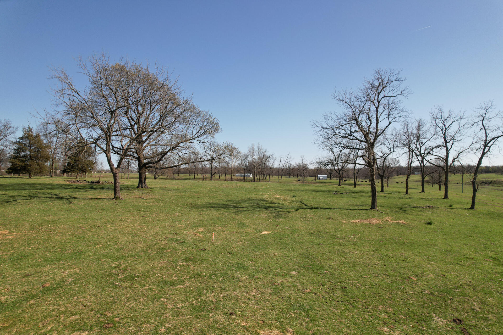 0 Palm Road, Unit 3 Neosho, MO 64850 - Photo 20 of 30 DJI_0201