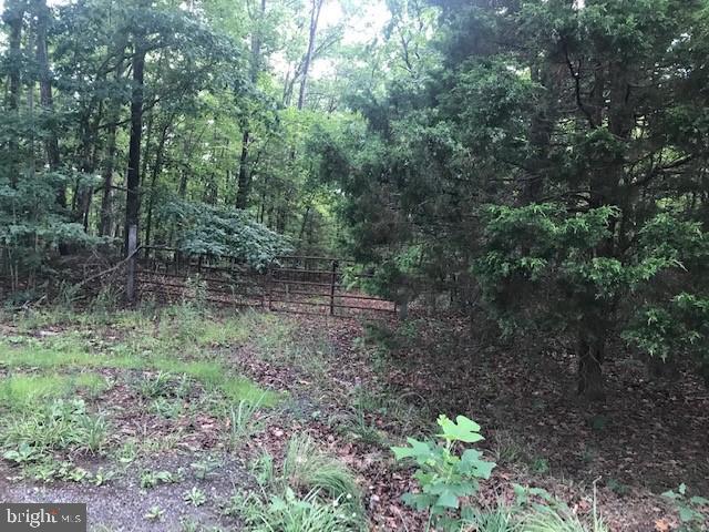 Lot 3 Porter Road Orange, VA 22960 - Photo 1 of 1