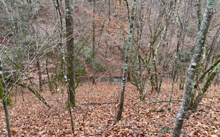 L771 Naomi Court Ranger, GA 30734 - Photo 1 of 4 Main View