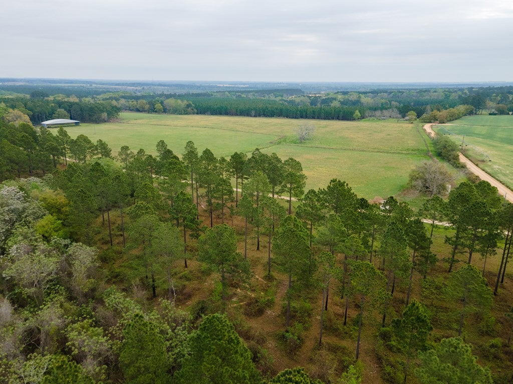 649 Okapilco Church Road Dixie, GA 31629 - Photo 49 of 49 Gallery Image 49