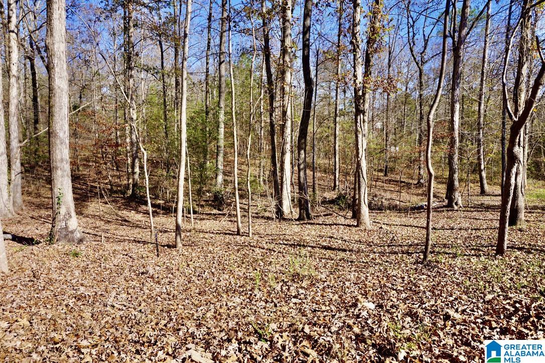 20 County Road 231 Cullman, AL 35057 - Photo 45 of 52