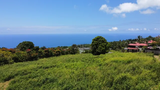 an aerial view of a house with a yard and lake view