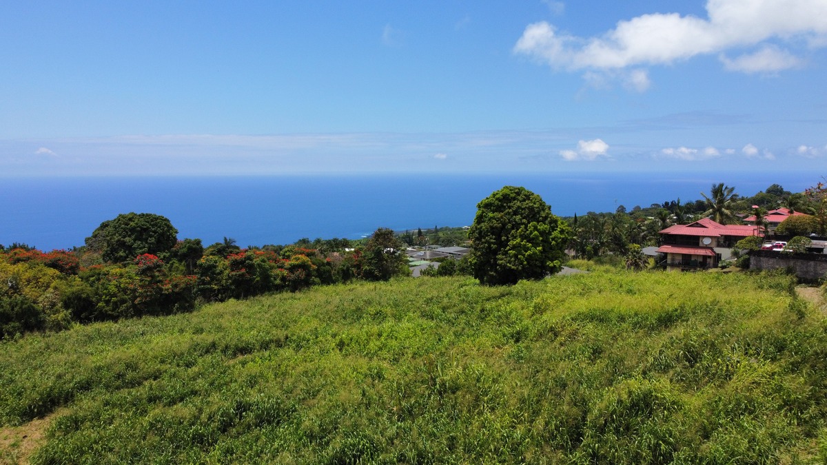 82-6115 Hawaiʻi Belt Road Captain Cook, HI 96704 - Photo 2 of 9 a view of a garden