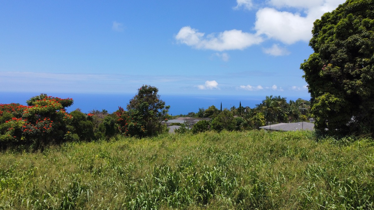 82-6115 Hawaiʻi Belt Road Captain Cook, HI 96704 - Photo 6 of 9 a view of a bunch of trees in a field