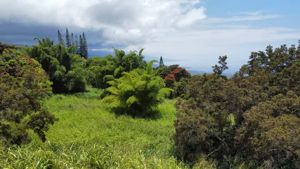 $2,400,000 | 82-6115 Hawaiʻi Belt Road, Captain Cook, HI 96704