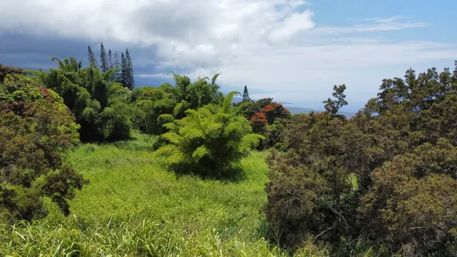 $2,400,000 | 82-6115 Hawaiʻi Belt Road, Captain Cook, HI 96704