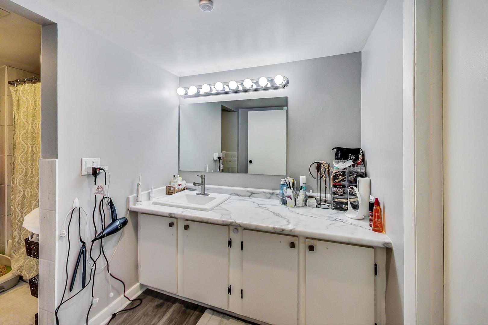 550 Timber Ridge Drive, Unit 304 Carol Stream, IL 60188 - Photo 15 of 22 a bathroom with a sink and a mirror
