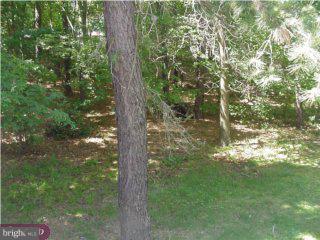 465 Old Erial Road Sicklerville, NJ 08081 - Photo 2 of 6 Gallery Image 2