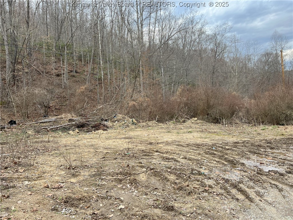 64 Upton Creek Road Spurlockville, WV 25565 - Photo 6 of 29 Gallery Image 6