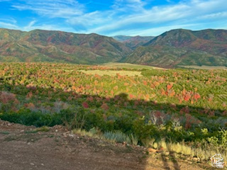 6909 East Spring Drive, Unit 19 Springville, UT 84663 - Photo 103 of 118 Expansive mountain landscape featuring varied terrain and a prominent blue sky