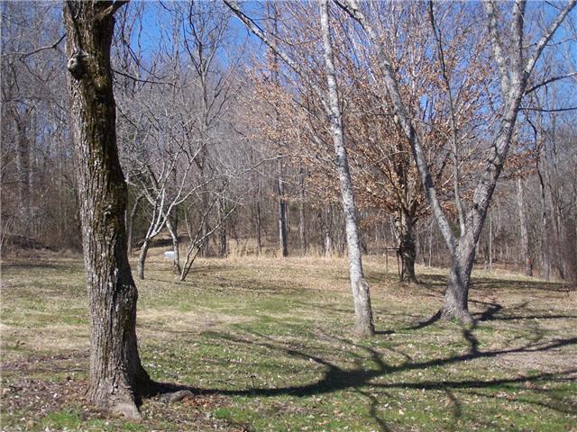 486 Powell School Road Goodspring, TN 38460 - Photo 4 of 12